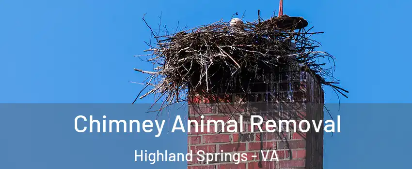 Chimney Animal Removal Highland Springs - VA