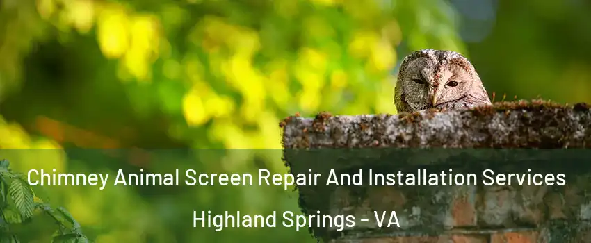  Chimney Animal Screen Repair And Installation Services Highland Springs - VA