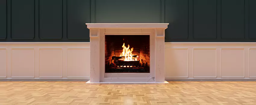 Napoleon Electric Fireplaces Inspection Service in Highland Springs, Virginia