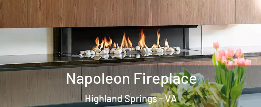  Napoleon Fireplace Highland Springs - VA